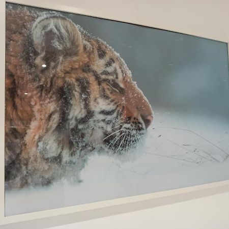 A 4 Min Du Zoo De Beauval La Maison A Partager Ch4 2Eme Etage Saint-Aignan  Luaran gambar
