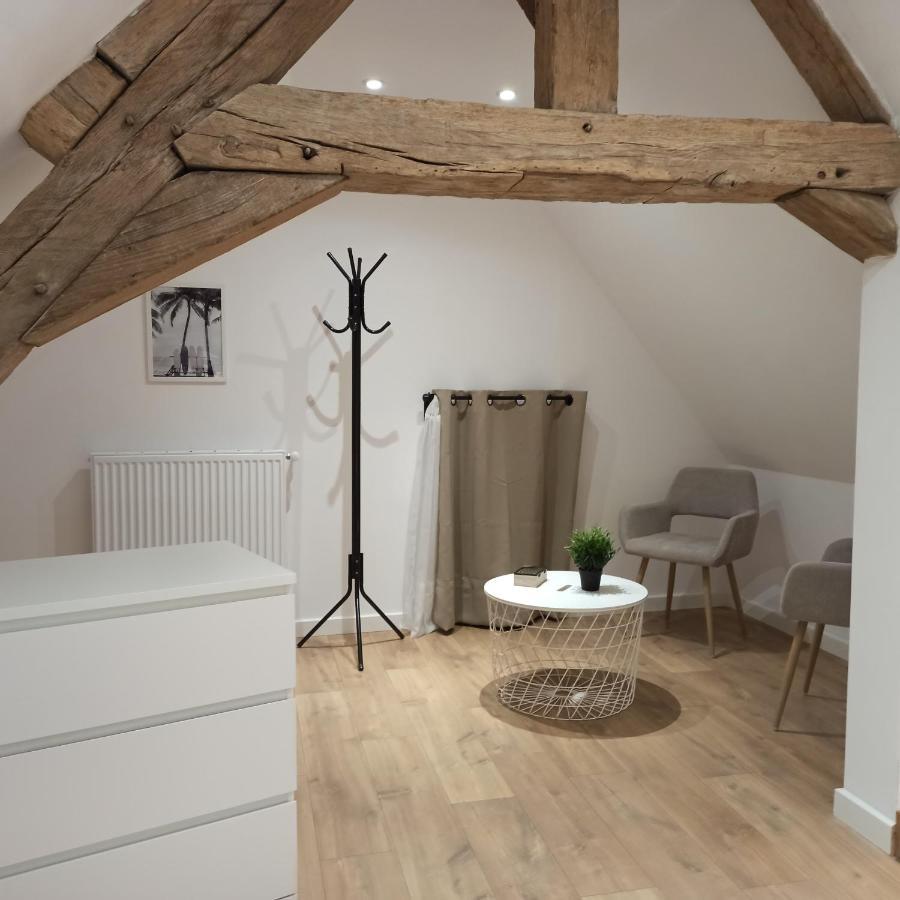 A 4 Min Du Zoo De Beauval La Maison A Partager Ch4 2Eme Etage Saint-Aignan  Luaran gambar
