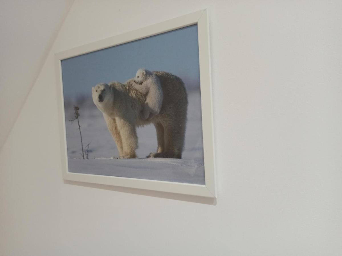 A 4 Min Du Zoo De Beauval La Maison A Partager Ch4 2Eme Etage Saint-Aignan  Luaran gambar