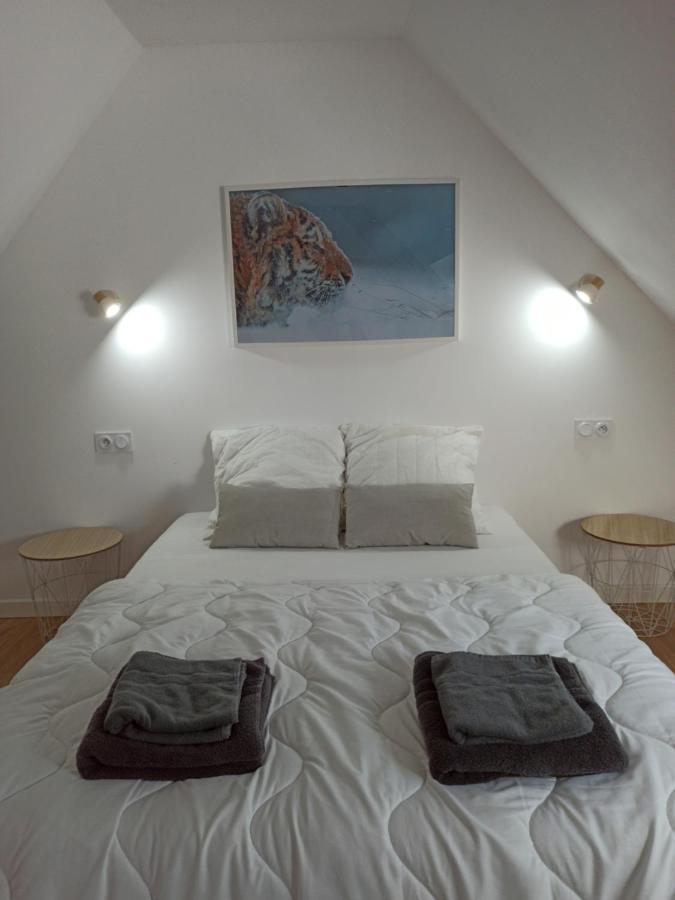 A 4 Min Du Zoo De Beauval La Maison A Partager Ch4 2Eme Etage Saint-Aignan  Luaran gambar